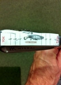 Project M6 (218x304)